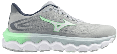 Mizuno wave horizon