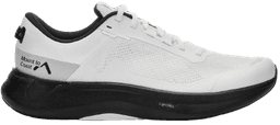 Mount to Coast s white-black