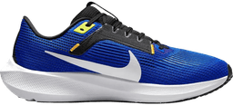 Nike pegasus blue