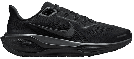 Nike pegasus