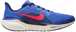 Nike pegasus blue-pink