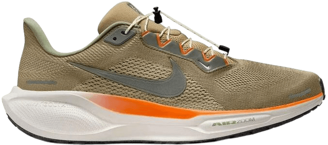 Nike pegasus