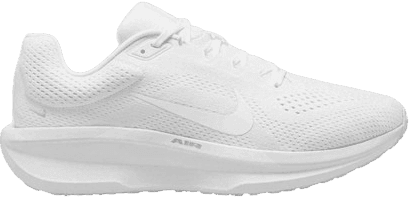 Nike winflow