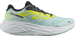 Salomon aero glide mulitcolor