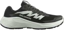 Salomon alphaglide blackphant