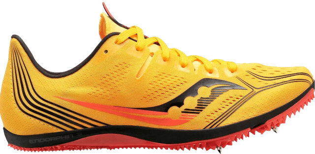 Saucony endorphin pro