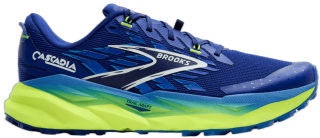 Brooks cascadia