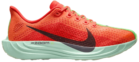 Nike pegasus plus