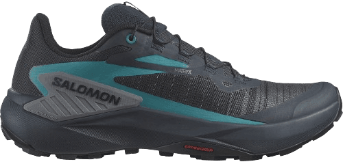 Salomon genesis