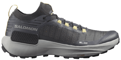 Salomon s lab genesis